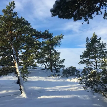 Hoegbo Bed & Breakfast *