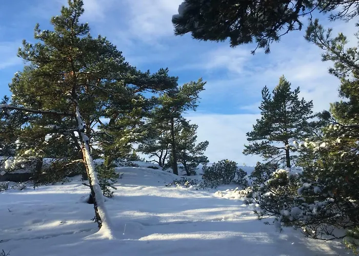 Högbo Bed & Breakfast *